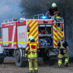 Trockenheit führte zu großem Wald und Wiesenbrand